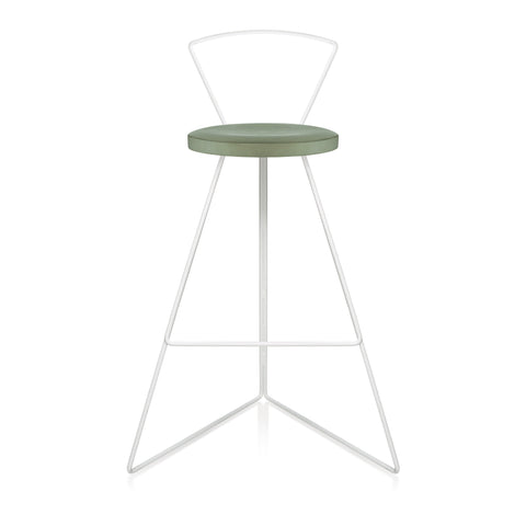  The Coleman Stool with Backrest