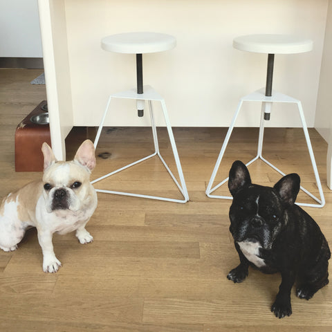 The Camp Stool by Greta de Parry. Contemporary Modern Furniture. Adjustable Stool.